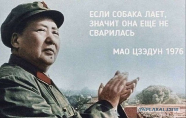 Народная меДИЧина v2.0