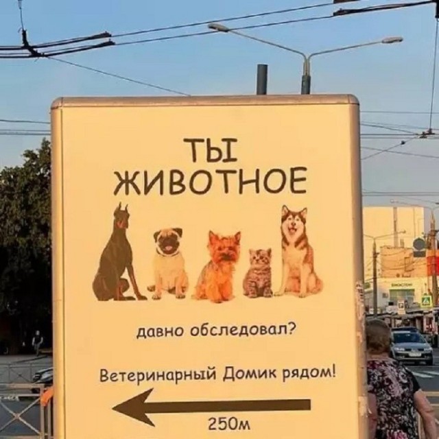 Картинки для деградации 281 (разной степени свежести)