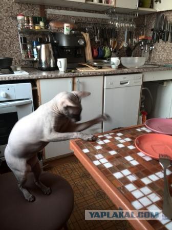 Давай к нам.