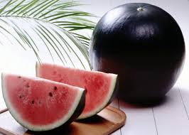 Черный волк