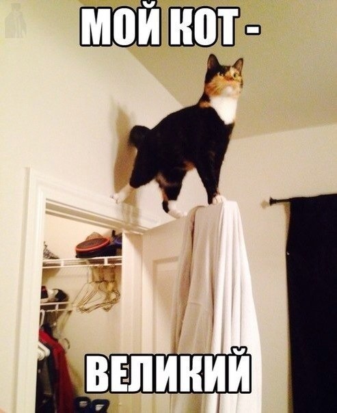 Смешные картинки