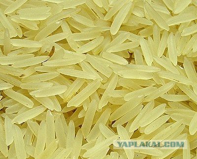 Кулинарная общалка