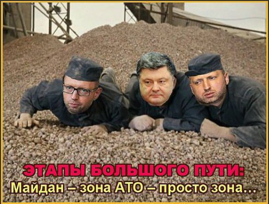 все же сбили украинцы. ОБСЕ признало