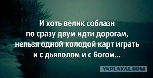 Зеленский дал о себе знать