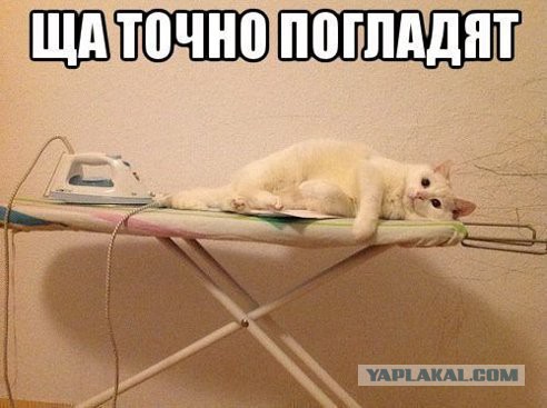 Пятница, картинки для поднятия настроения