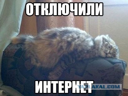 Подборка весёлых картинок