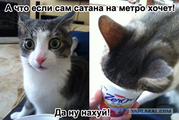 Что это было?