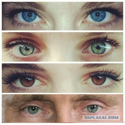 Для улыбок с утра
