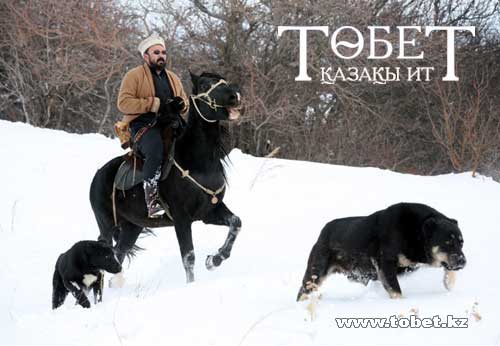 Вот это "теленочек"!