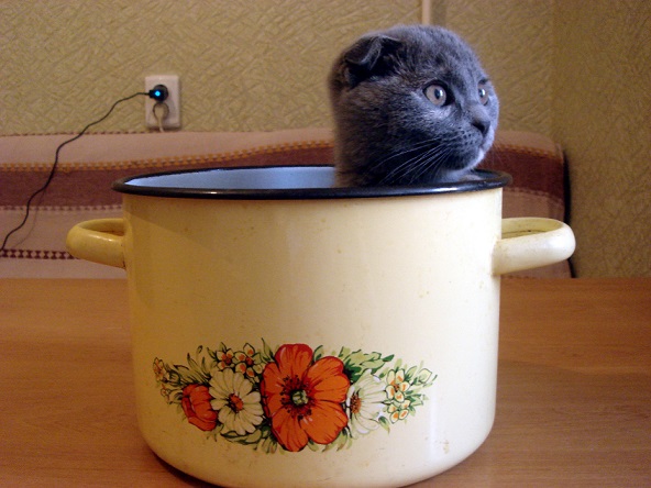 Фотоподборка очень удобных кастрюль