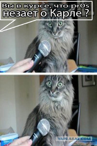 Откуда взялся кот с лампой?