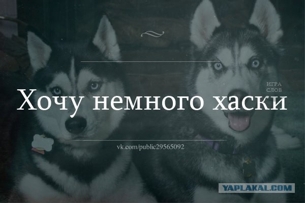 Просто картинки
