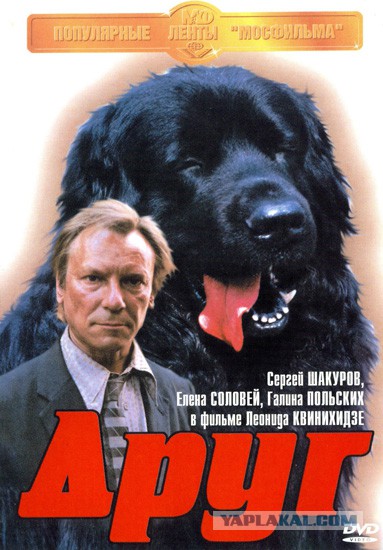 Ньюфаундленд. Мощь и доброта.