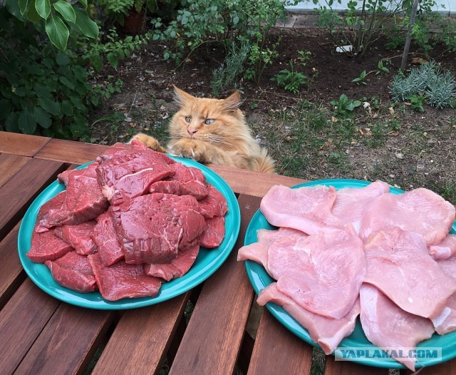 Прикольные картинки для вас!