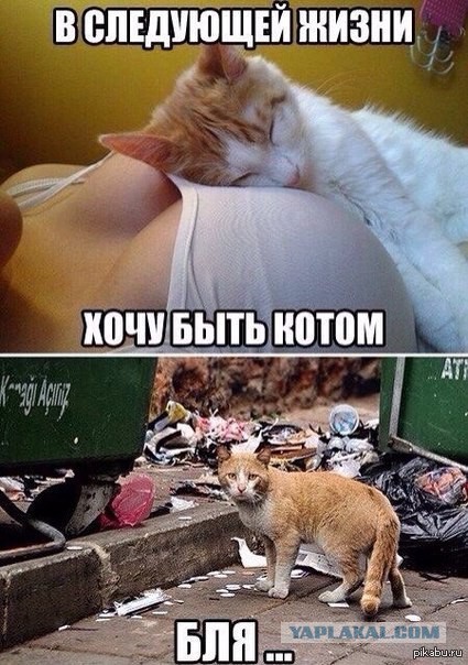 В погоне за ЮКой