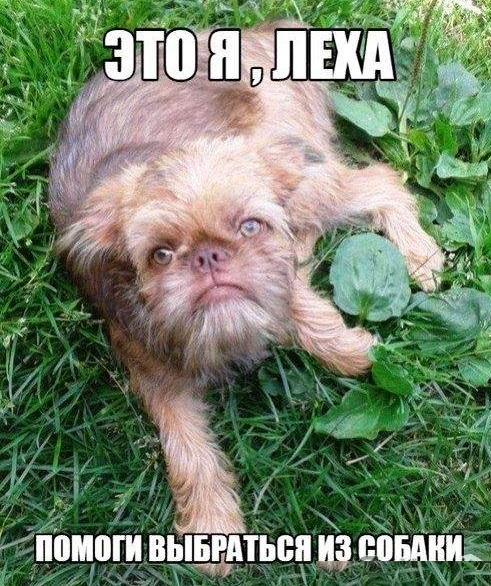 Эти глаза...