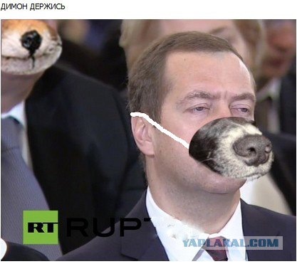 Пожабим Димона