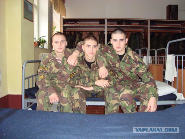 ЦСН ОСН Витязь