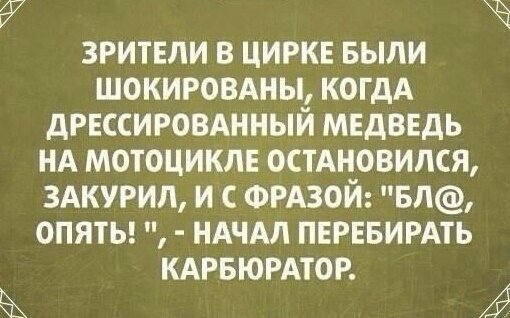 Забавные картинки из Сети
