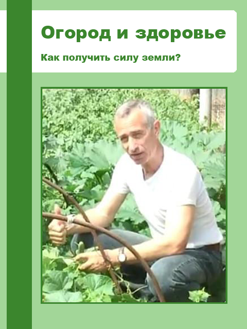 Кубанских восьмиклассников заставили смотреть фильм о телегонии и развращении граждан России