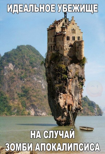 Подборка интересных и веселых фото