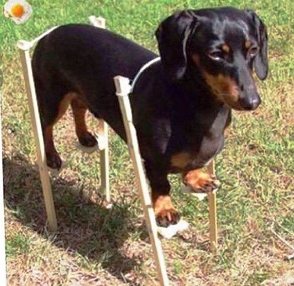 Подборка интересных и веселых картинок