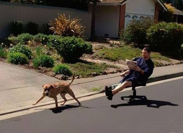 Подборка интересных и смешных картинок