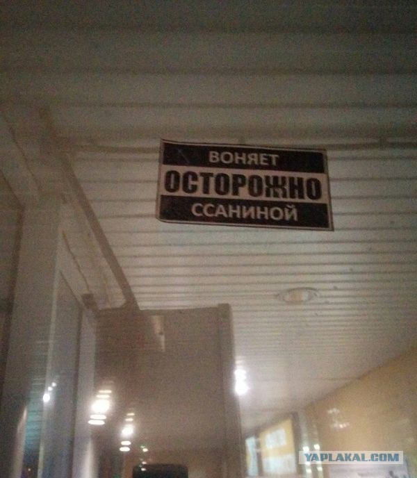 Ударная доза тупежа на начало недели