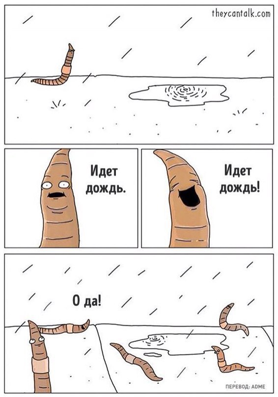 Весёлые картинки