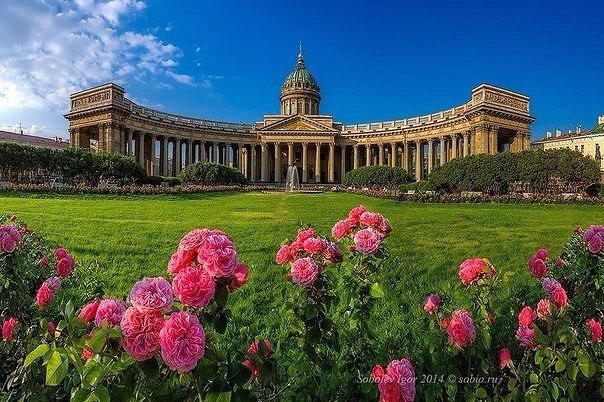 Картинки для отдыха глаз