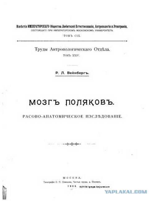 Польша опубликовала часть документов о расследовании смоленской катастрофы