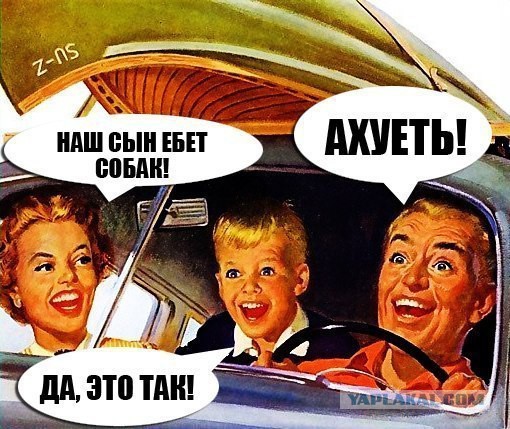 Панин ответил про собаку