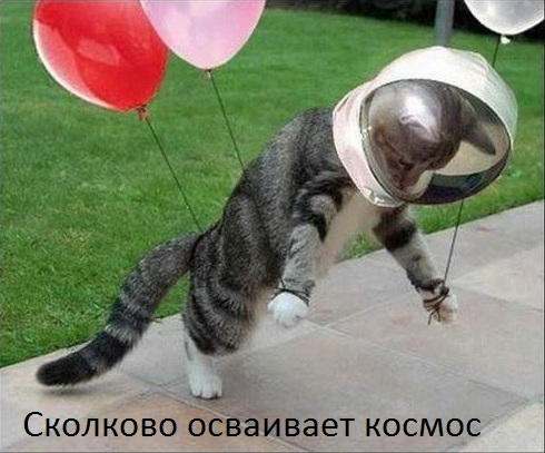 Картинки с сети