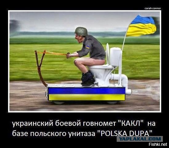 Смешные комментарии из социальных сетей 31.03.2017