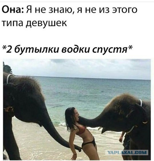 Смешные и не очень жипэги..