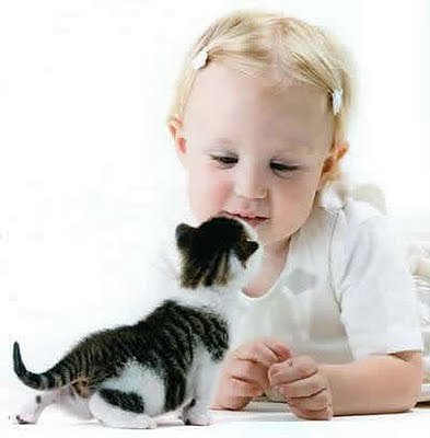 Коты и Кошки