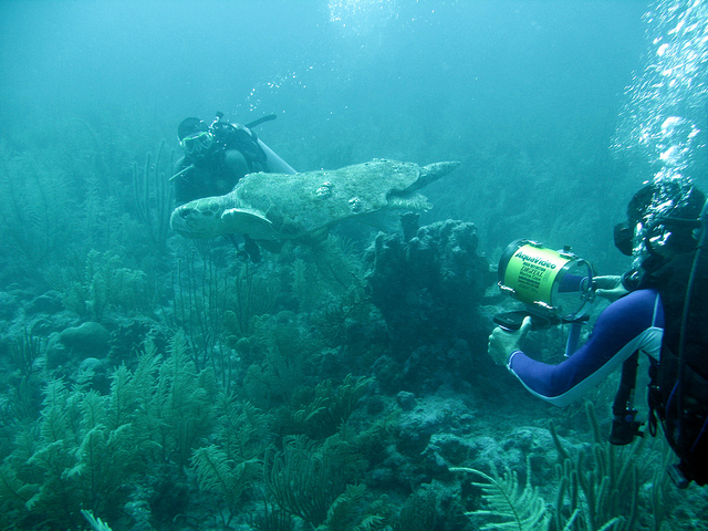 Голубая дыра (Great Blue Hole)