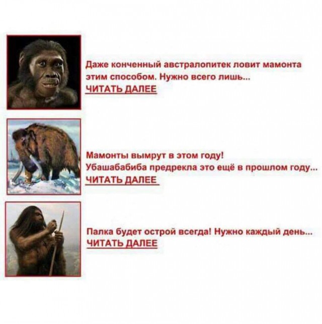 Ударная доза тупежа и лёгкой наркомании к выходным