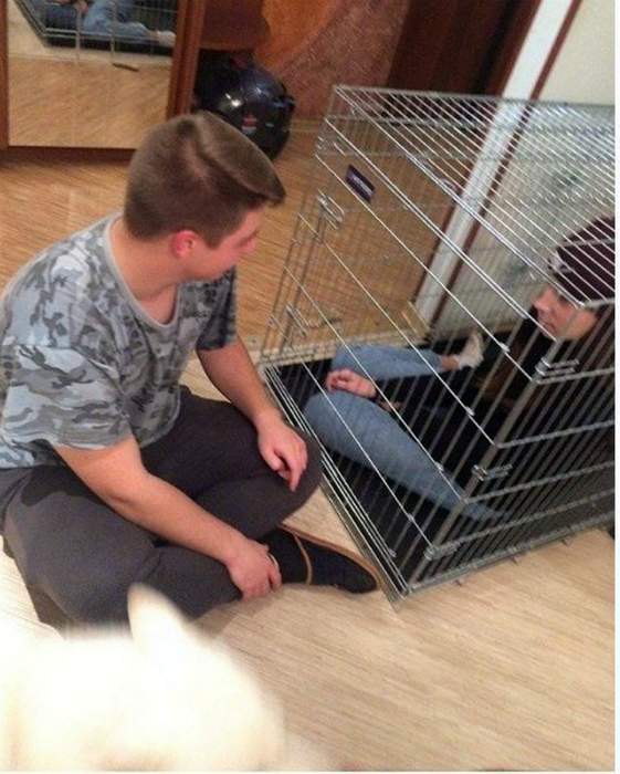 Картинки по-приколу