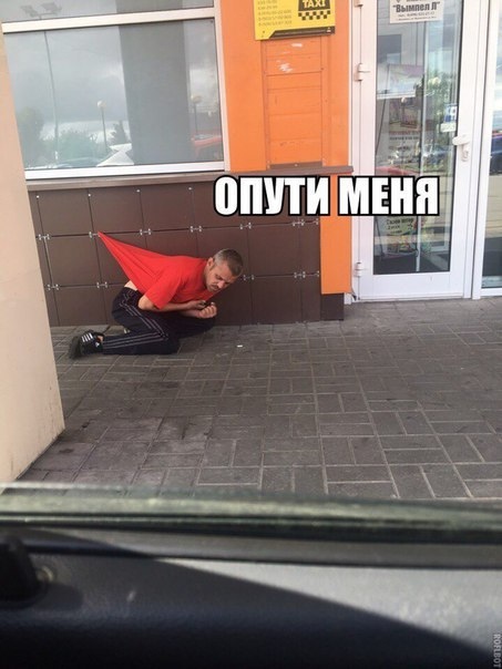 Скотсети и прочие интернеты 24.09.18