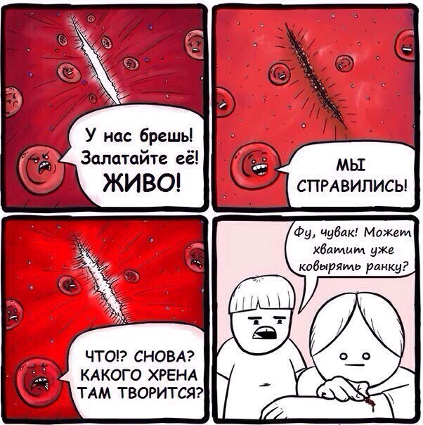 Аморальные и циничные картинки