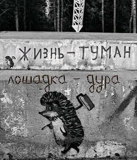 Немного картинок в эту субботу