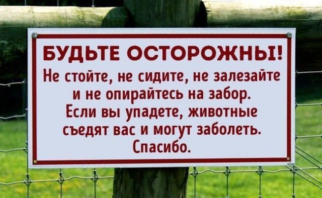 И всё-таки она наша. Лента картинок