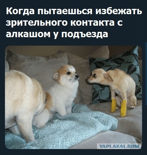 Не очень адекватный юмор