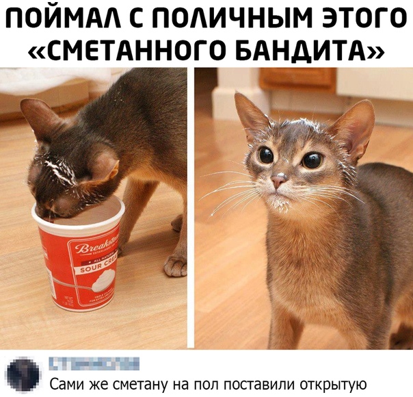 Пара-пара-пам! Фьють!