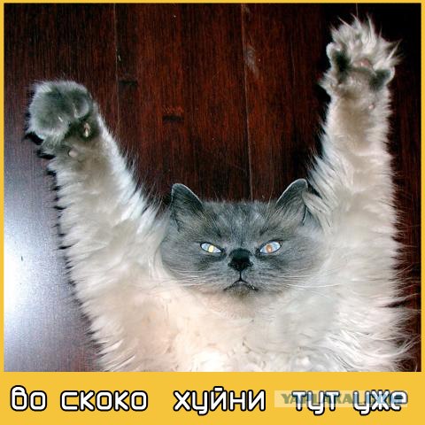 17/11/2008 по просьбам трудящихся