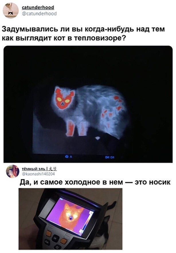 Немного картинок для настроения 24.07.20