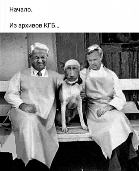 Накипело... на статью!
