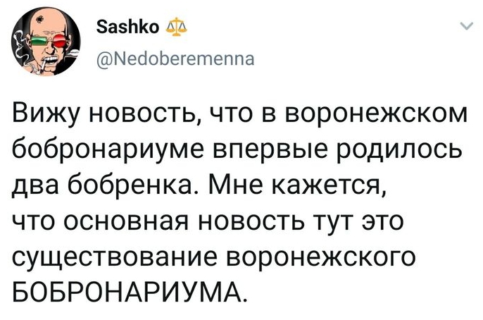 что делает бобер зимой. Смотреть фото что делает бобер зимой. Смотреть картинку что делает бобер зимой. Картинка про что делает бобер зимой. Фото что делает бобер зимой