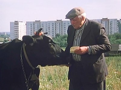 Типичное Подмосковье